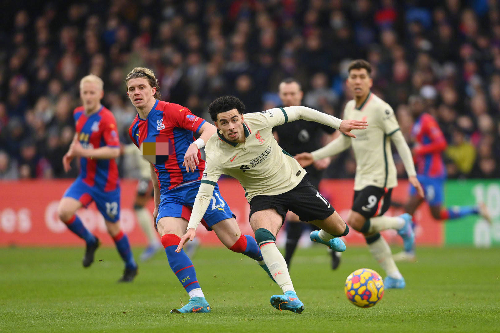 尤其是习惯 尤其是习惯